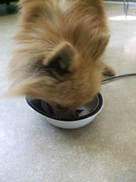 DSCF5081.jpg