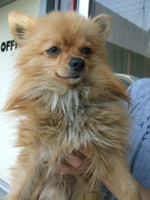DSCF5085.jpg