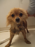 DSCF5093.jpg