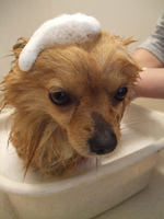 DSCF5102.jpg