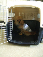 DSCF5118.jpg