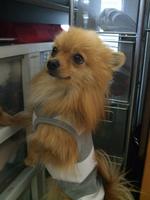 DSCF5122.jpg