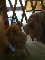 DSCF5126.jpg