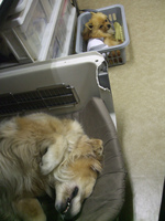 DSCF5172.jpg