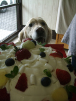 DSCF5214.jpg