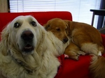 DSCF5595.jpg