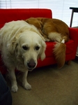 DSCF5596.jpg