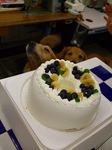 DSCF5607.jpg