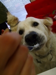 DSCF5617.jpg