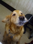 DSCF5630.jpg