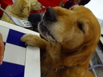 DSCF5657.jpg