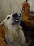 DSCF5661.jpg