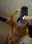 DSCF5663.jpg