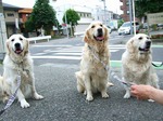 DSCF5683.jpg
