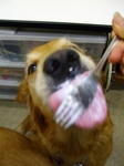 DSCF5715.jpg
