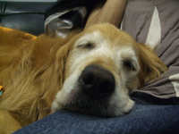 DSCF5982.jpg