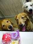 DSCF6256.jpg