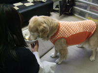 DSCF6274.jpg