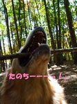 DSCF7346.jpg