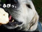 DSCF7364.jpg