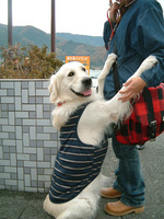 DSCF8099.jpg