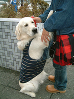 DSCF8100.jpg