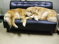 DSCF8663.jpg