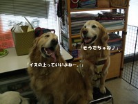 DSCF9226.jpg