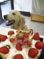 DSCF9247.jpg