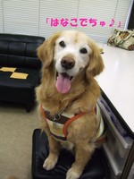 DSCF9252.jpg