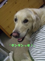 DSCF9279.jpg