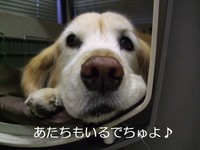 DSCF9310.jpg
