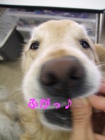 DSCF9386.jpg