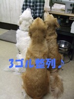 DSCF9431.jpg