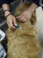 DSCF9444.jpg