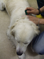 DSCF9448.jpg
