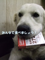 DSCF9464.jpg