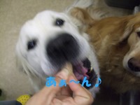 DSCF9473.jpg