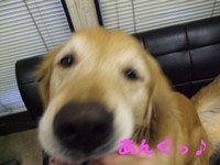 DSCF9474.jpg