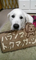 IMG01104.jpg