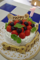 IMGP0035.jpg