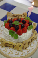IMGP0036.jpg
