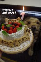 IMGP0046.jpg