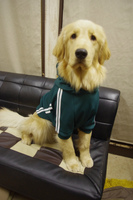 IMGP0333.jpg