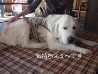 IMGP0509.jpg