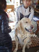 IMGP0513.jpg