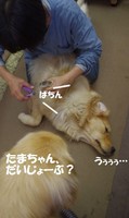 IMGP0520.jpg