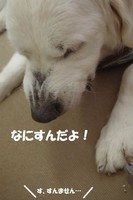 IMGP0530.jpg