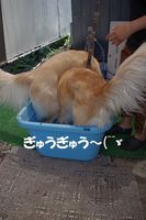 IMGP1141.jpg