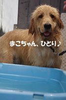 IMGP1173.jpg
